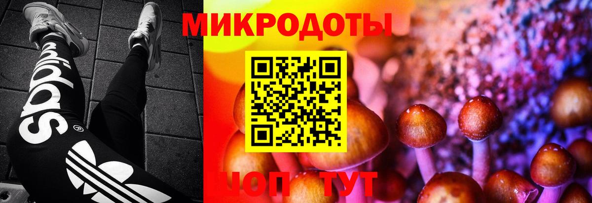 Свободный  Галлюциногенные грибы Psilocybe  Псилоцибиновые грибы Magic Shrooms  Вход с VPN 